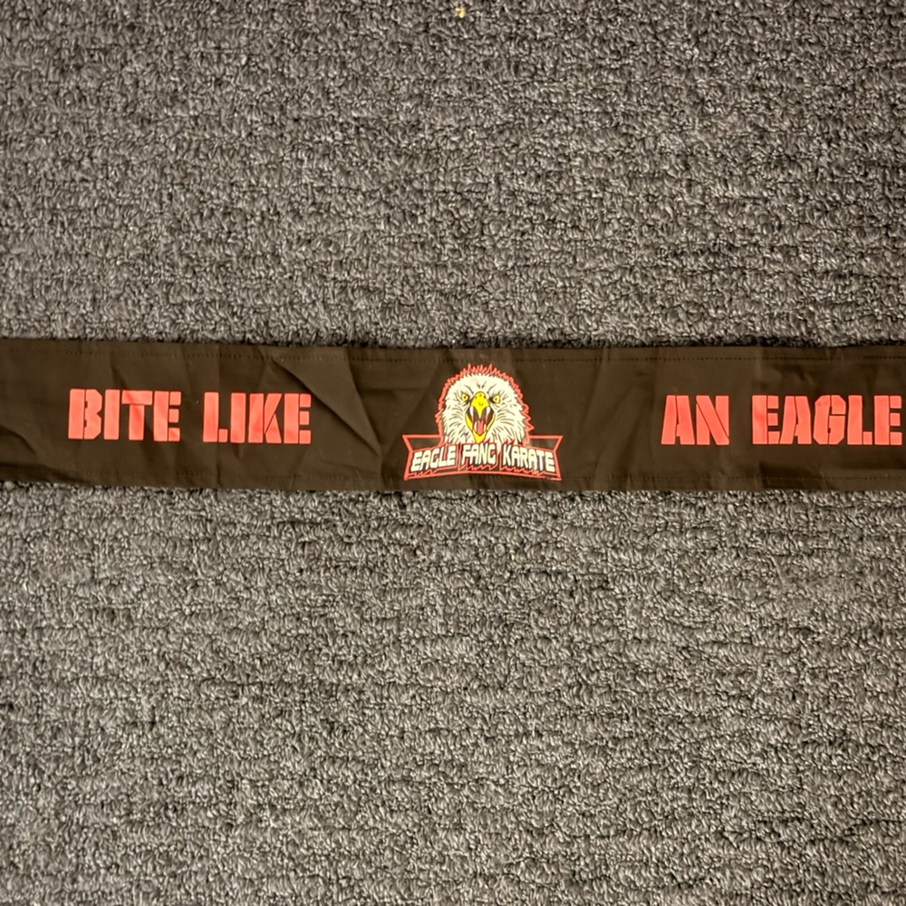 NEW! Cobra Kai Eagle Fang Karate Dojo Black headband